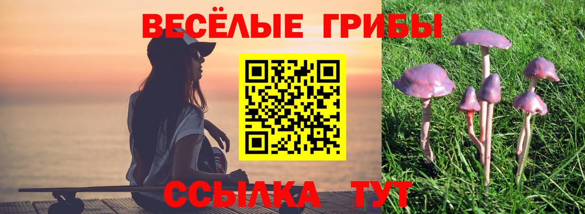 Псилоцибиновые грибы Magic Shrooms  Вход с VPN  Новоуральск 
